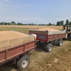 Ciągnik bez dokumentów? Rejestracja możliwa! Sprawdź jak