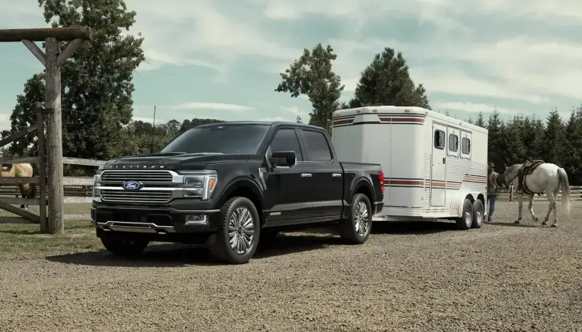 Czarny Ford F-150 Platinum holuje przyczepę z koniem na farmie.