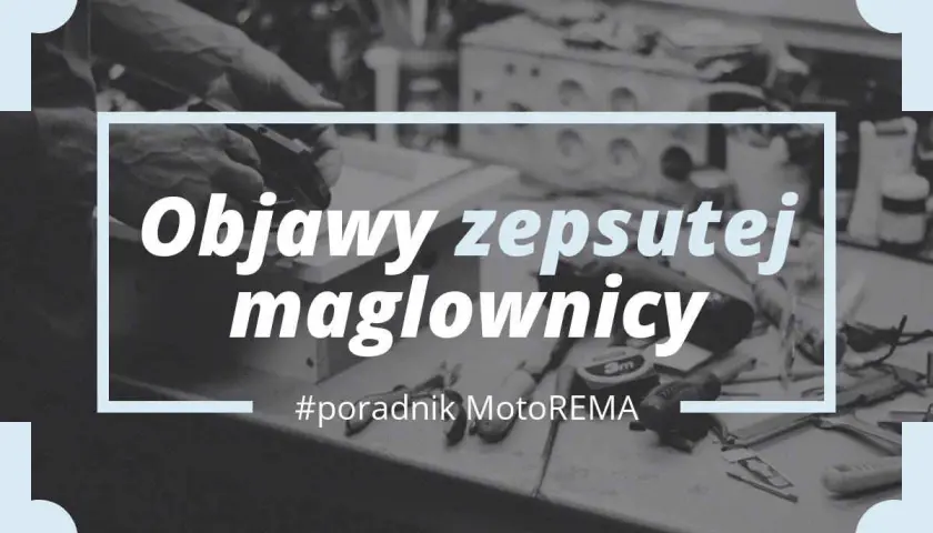 Maglownica: objawy awarii, regeneracja czy wymiana? Poradnik