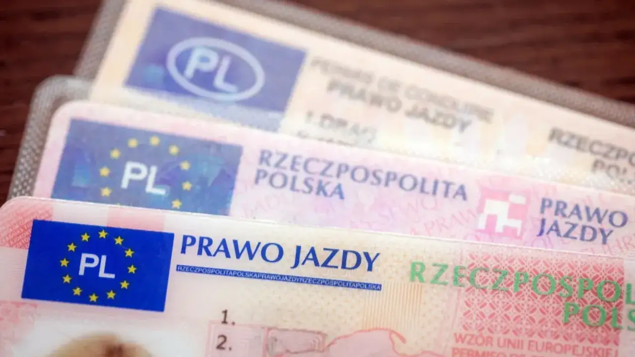 Polskie prawa jazdy, różne kategorie. Dokumenty z flagą UE i oznaczeniem PL.